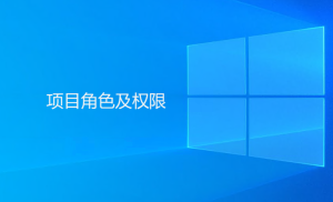 Gungho系統(tǒng)內項目角色及權限相關描述